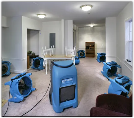Leak Detection & Repair in Blackman, MI