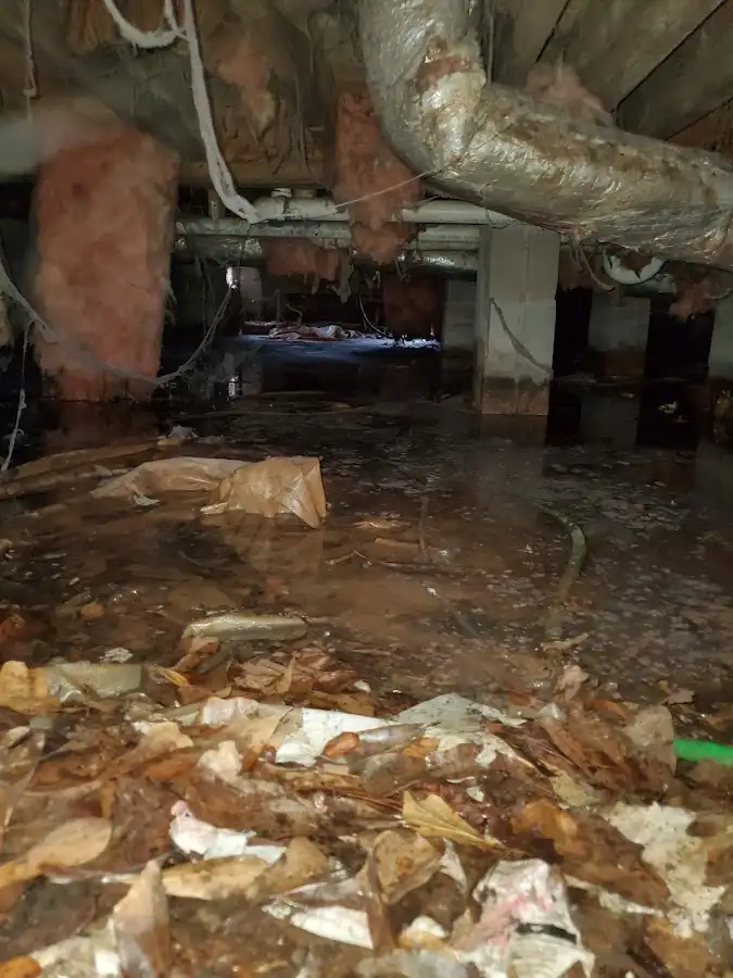 Crawl space flood assessment for Leak Detection & Repair in Blackman